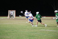 Enlarge photo 113