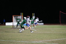 Enlarge photo 149