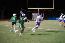 Enlarge photo 377