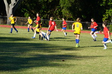 Enlarge photo 14