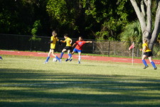 Enlarge photo 28