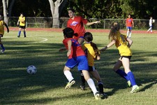 Enlarge photo 30