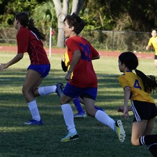 Enlarge photo 32