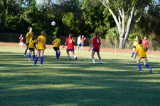 Enlarge photo 42