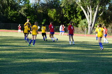 Enlarge photo 43