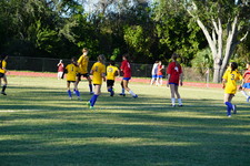 Enlarge photo 45