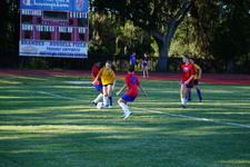 Enlarge photo 59