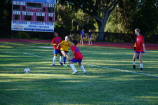 Enlarge photo 63
