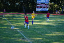 Enlarge photo 67