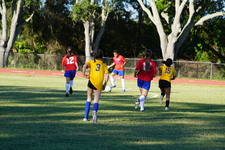 Enlarge photo 85