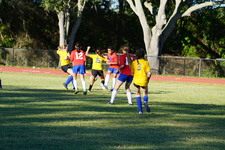 Enlarge photo 86