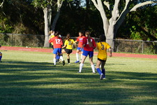 Enlarge photo 87