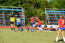 Enlarge photo 96