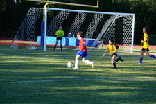 Enlarge photo 104