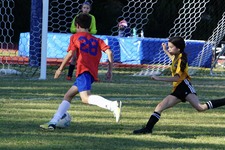 Enlarge photo 103