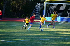 Enlarge photo 108