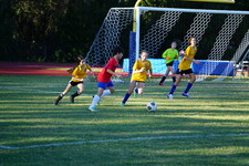 Enlarge photo 109