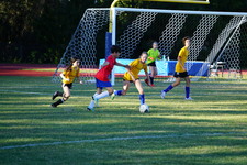 Enlarge photo 110