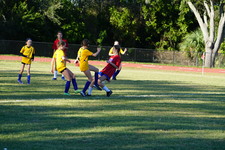 Enlarge photo 112