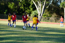Enlarge photo 115