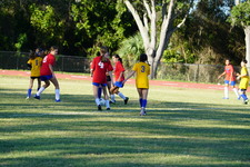 Enlarge photo 117