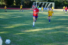 Enlarge photo 130