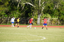 Enlarge photo 146