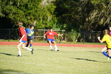 Enlarge photo 152