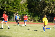 Enlarge photo 153