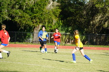 Enlarge photo 154