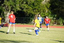Enlarge photo 156