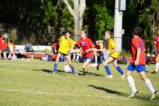 Enlarge photo 158