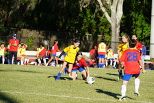 Enlarge photo 160