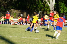 Enlarge photo 161