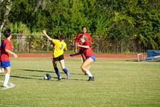 Enlarge photo 163