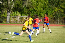 Enlarge photo 165