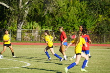 Enlarge photo 166