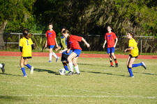 Enlarge photo 169