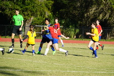 Enlarge photo 171