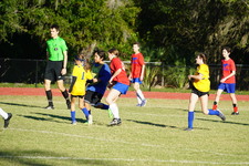 Enlarge photo 173