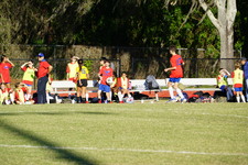 Enlarge photo 175