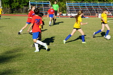 Enlarge photo 187