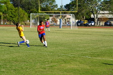 Enlarge photo 196