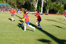 Enlarge photo 206