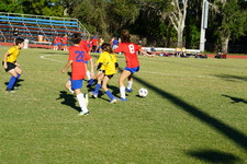 Enlarge photo 208