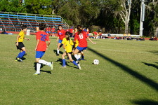 Enlarge photo 209