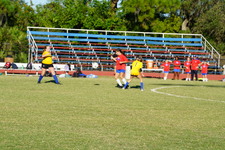 Enlarge photo 211