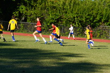 Enlarge photo 215