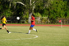 Enlarge photo 223
