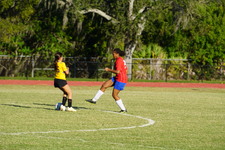 Enlarge photo 225